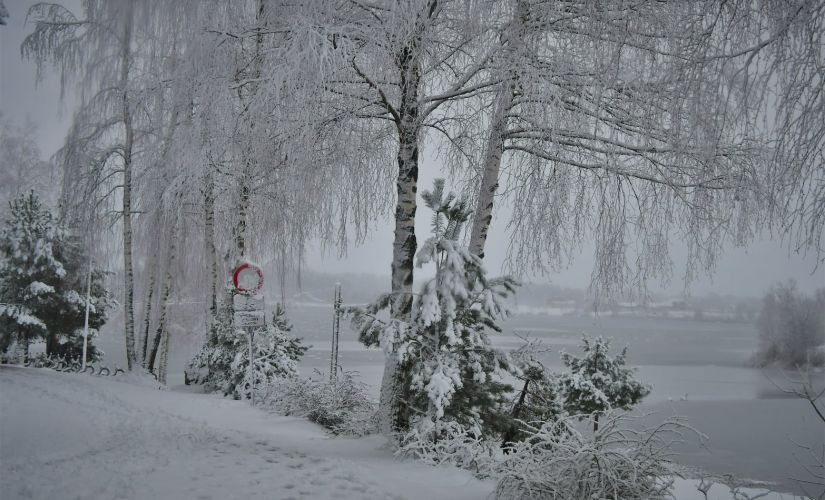 Koptreniņi 