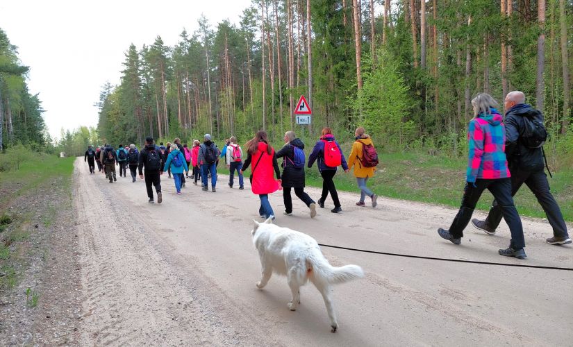Sagaidi Latvijas svētkus kustībā - pieveic desmit tūkstošus soļu katru dienu!